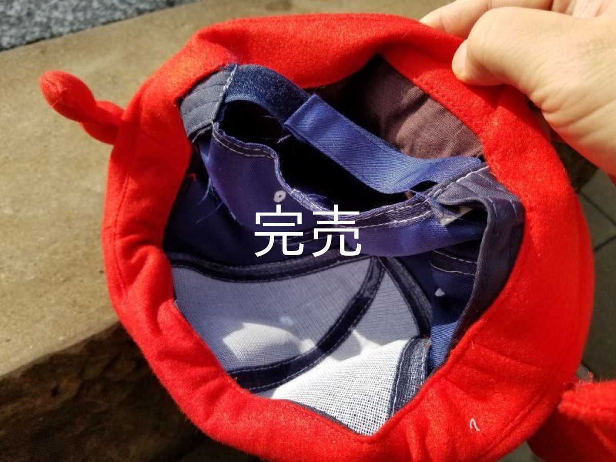 画像4: 【極少量再入荷】蟹取県公式『ウェルカニキャップ』(サイズフリー) (4)