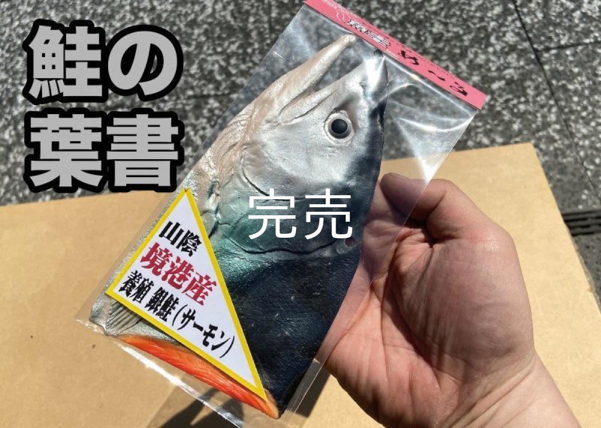 画像1: 【食べられませんw】リアルな鮭のハガキ(ラバー製) (1)