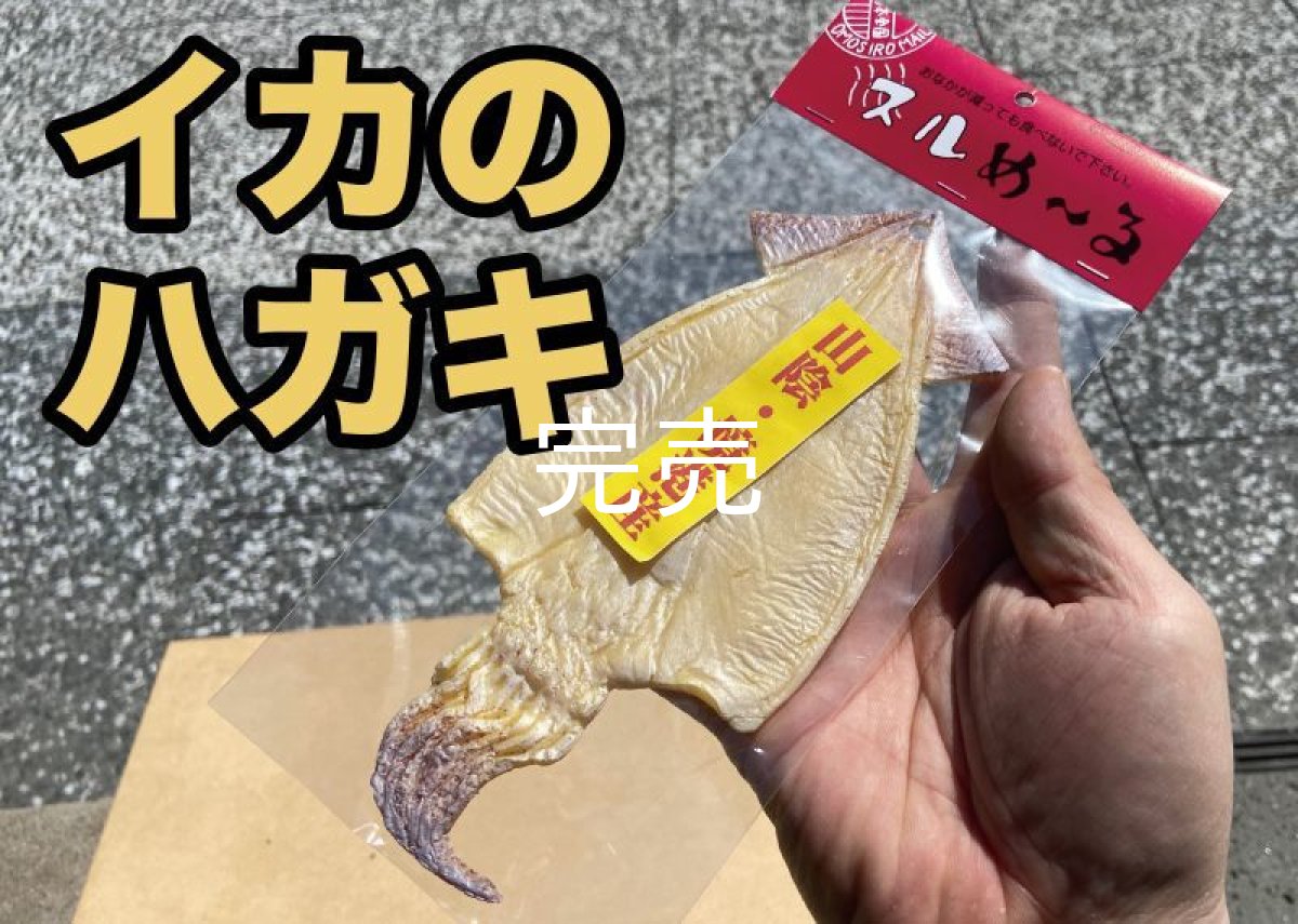 画像1: 【食べられませんw】リアルなイカのハガキ(ラバー製) (1)
