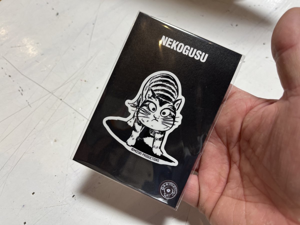 猫楠：四足歩行