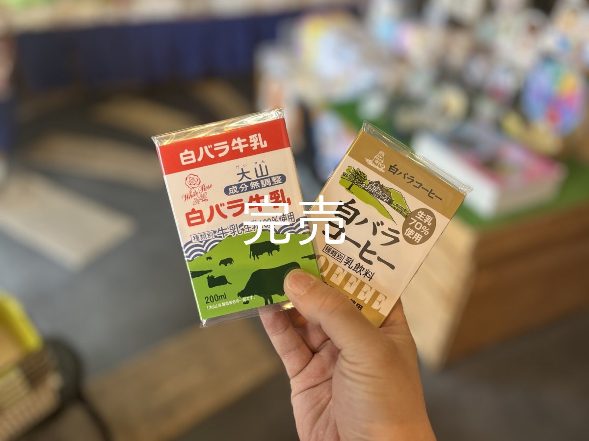 画像1: 【大山乳業】待望の復刻！白バラ牛乳＆コーヒー『パタパタメモ』各種 (1)